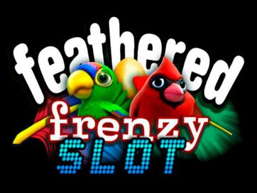 Feathered Frenzy